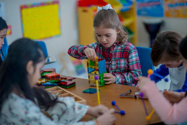 Interlocking & DIY Toys